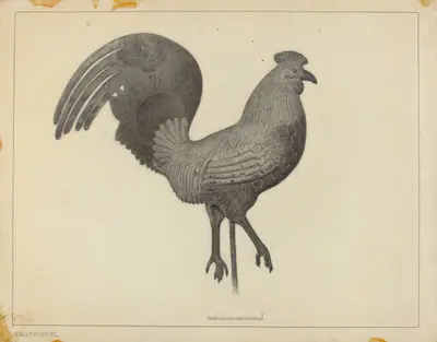 Weather Vane