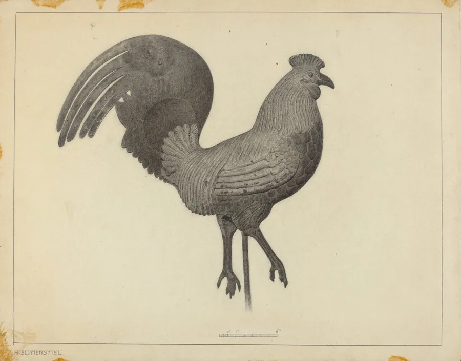 Weather Vane by Helen Alpiner Blumenstiel
