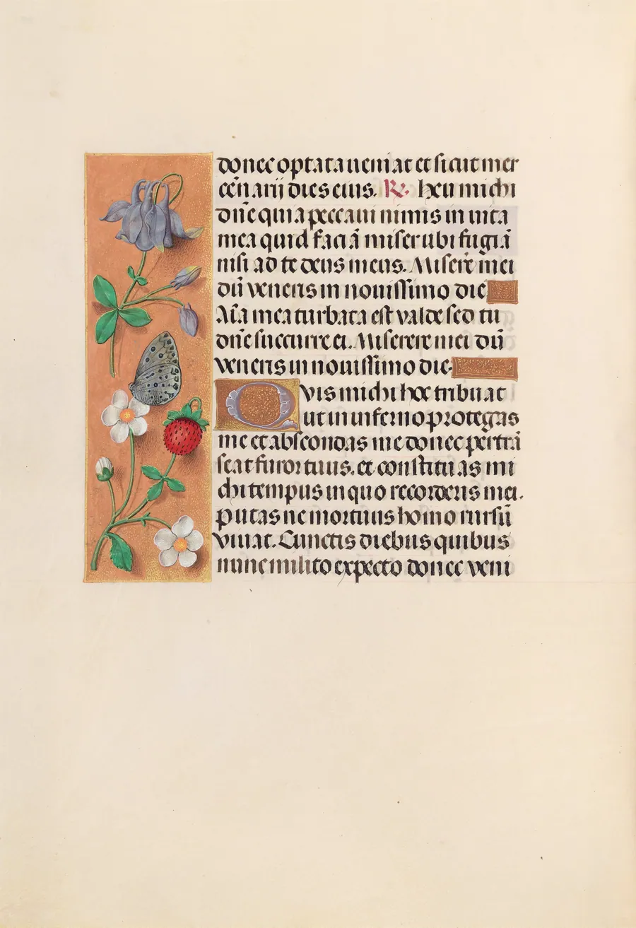 Hours of Queen Isabella the Catholic, Queen of Spain:  Fol. 238v by Master of the First Prayerbook of Maximillian