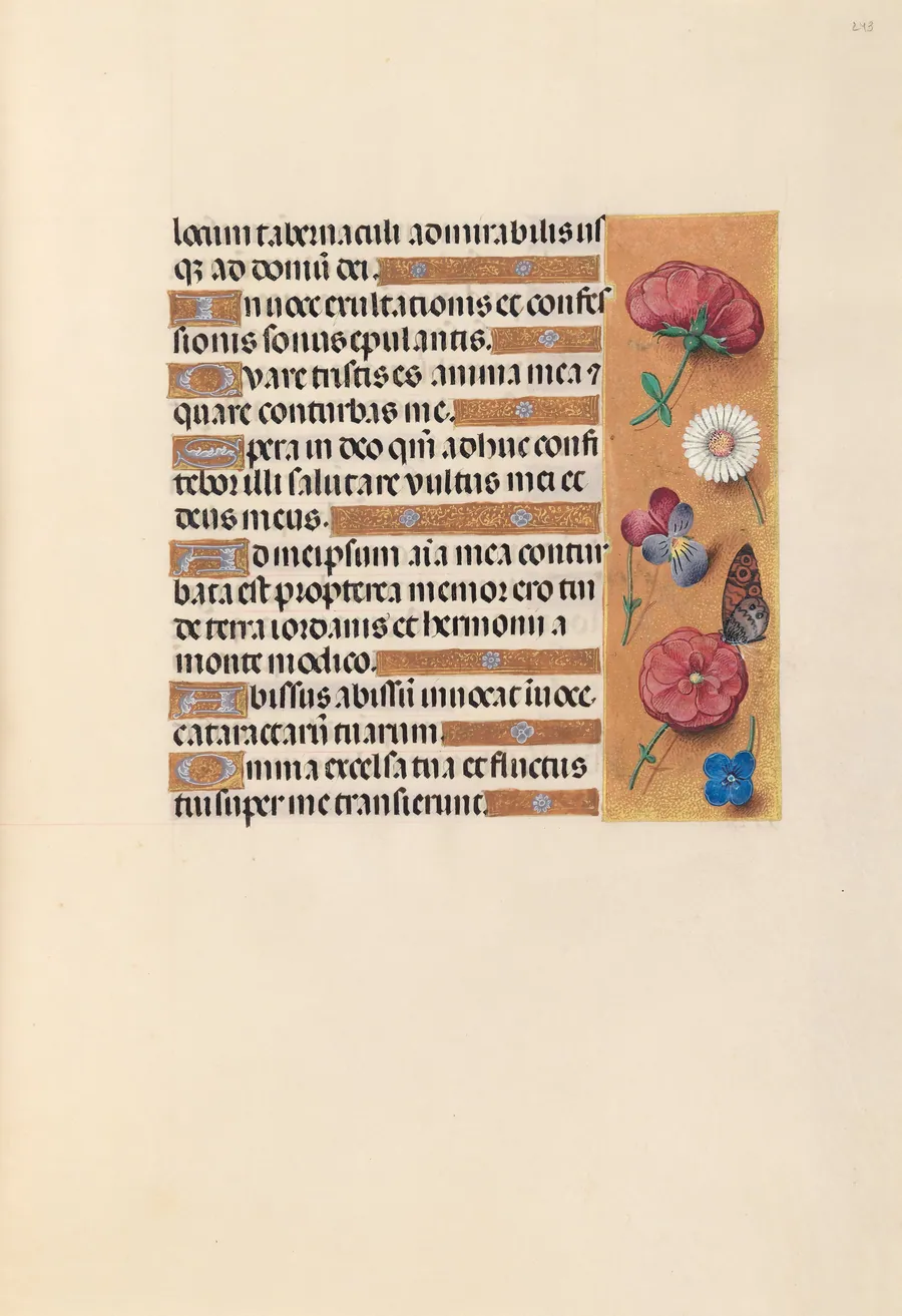 Hours of Queen Isabella the Catholic, Queen of Spain:  Fol. 243r by Master of the First Prayerbook of Maximillian