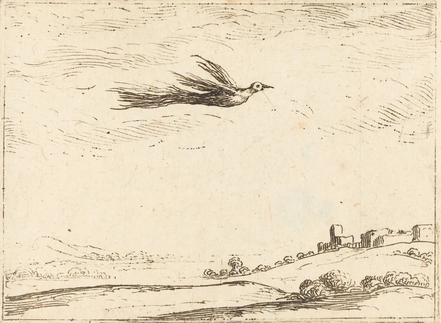 Bird of Paradise by Jacques Callot