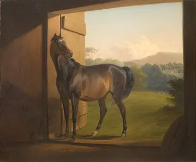 Reveller Mare