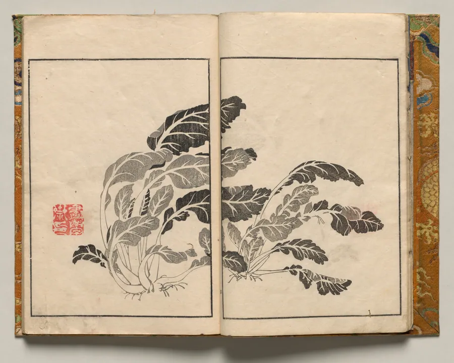 Bok Choy, Design Four from Shazanrō Picture Book by Tani Bunchō