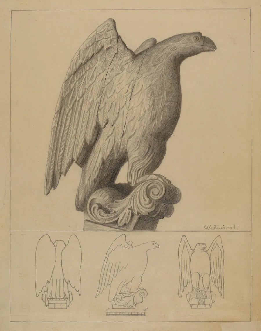 Eagle by Bernard Westmacott