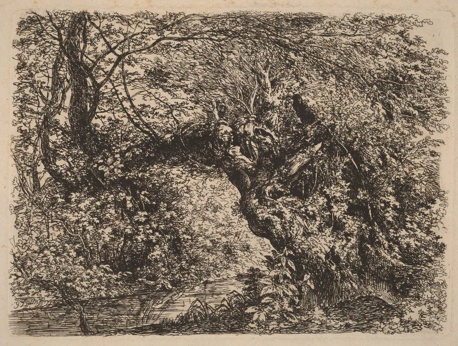 An Old Willow by a Stream by Johann Georg von Dillis