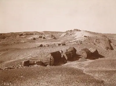 In the Petrified Forest (General View, Middle Park)