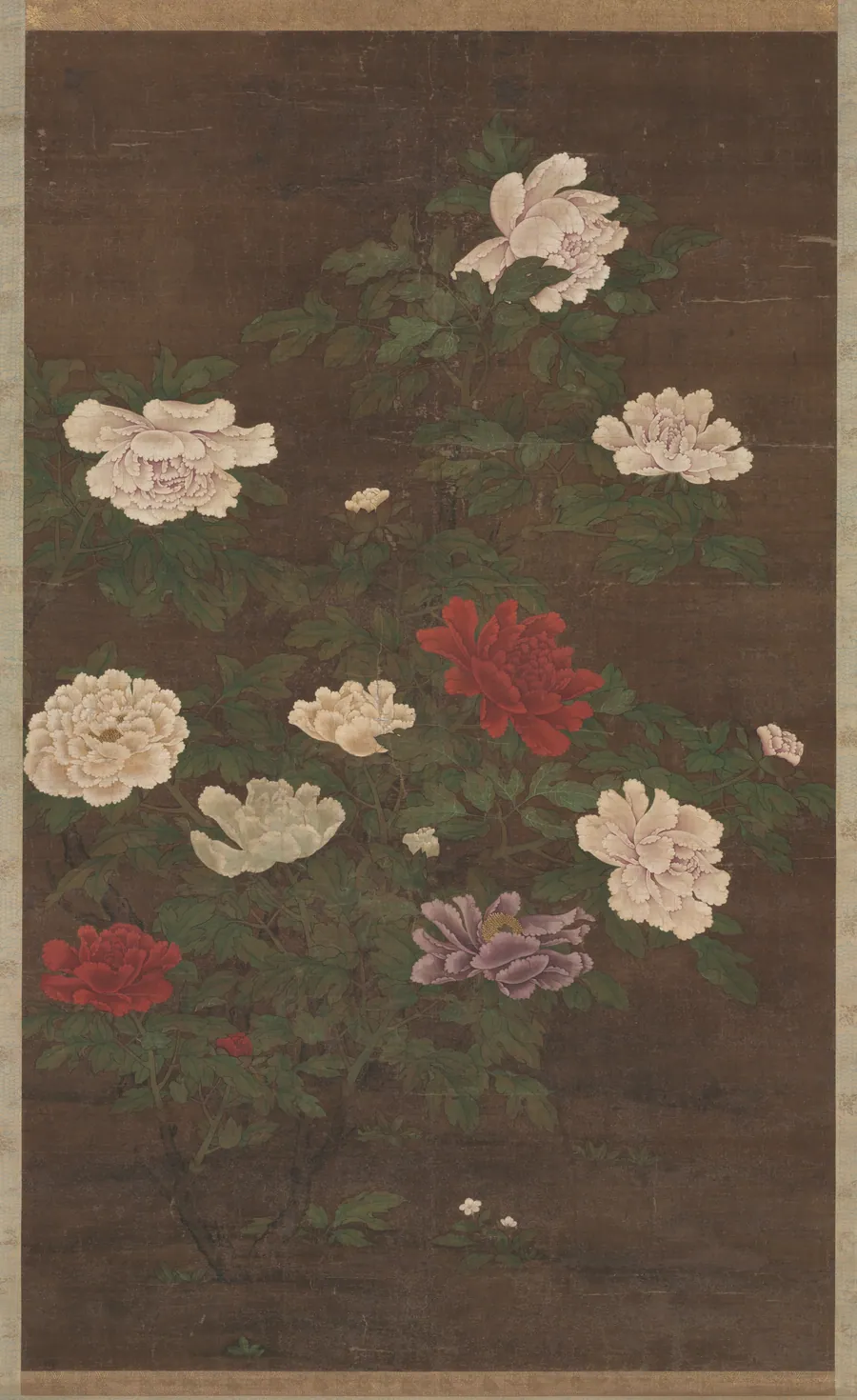 Peonies