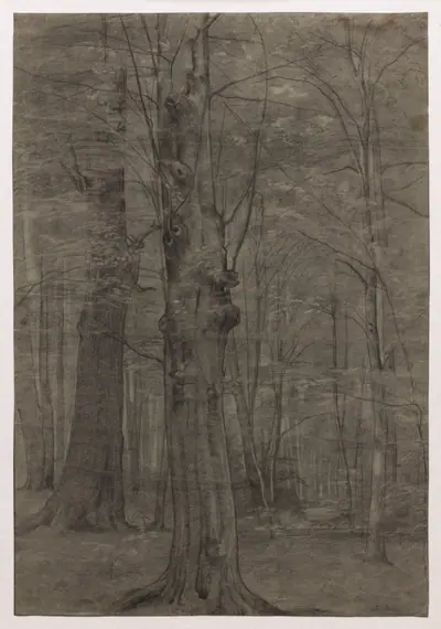 Trees