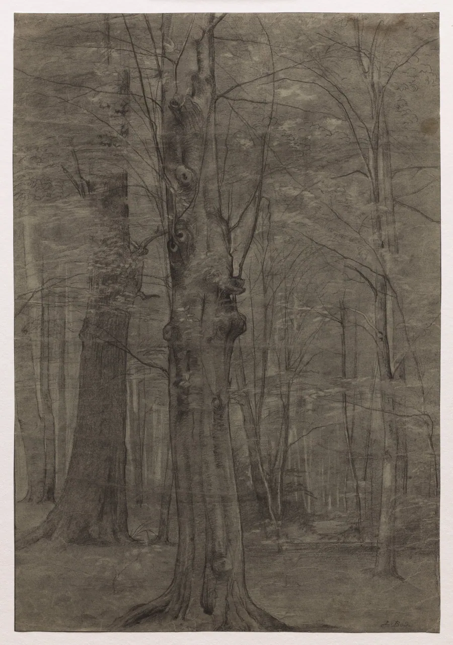 Trees by Leopold Bode