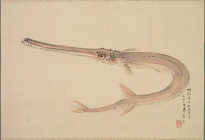 Needlefish (Yagara)