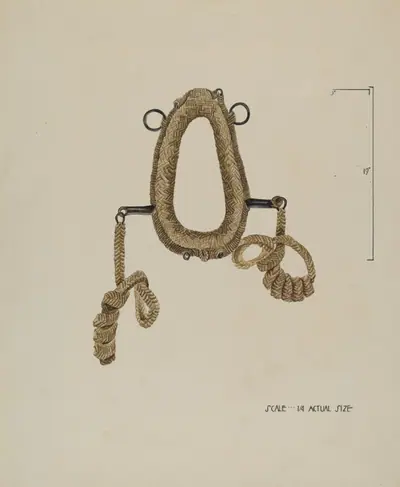 Collar For Burro