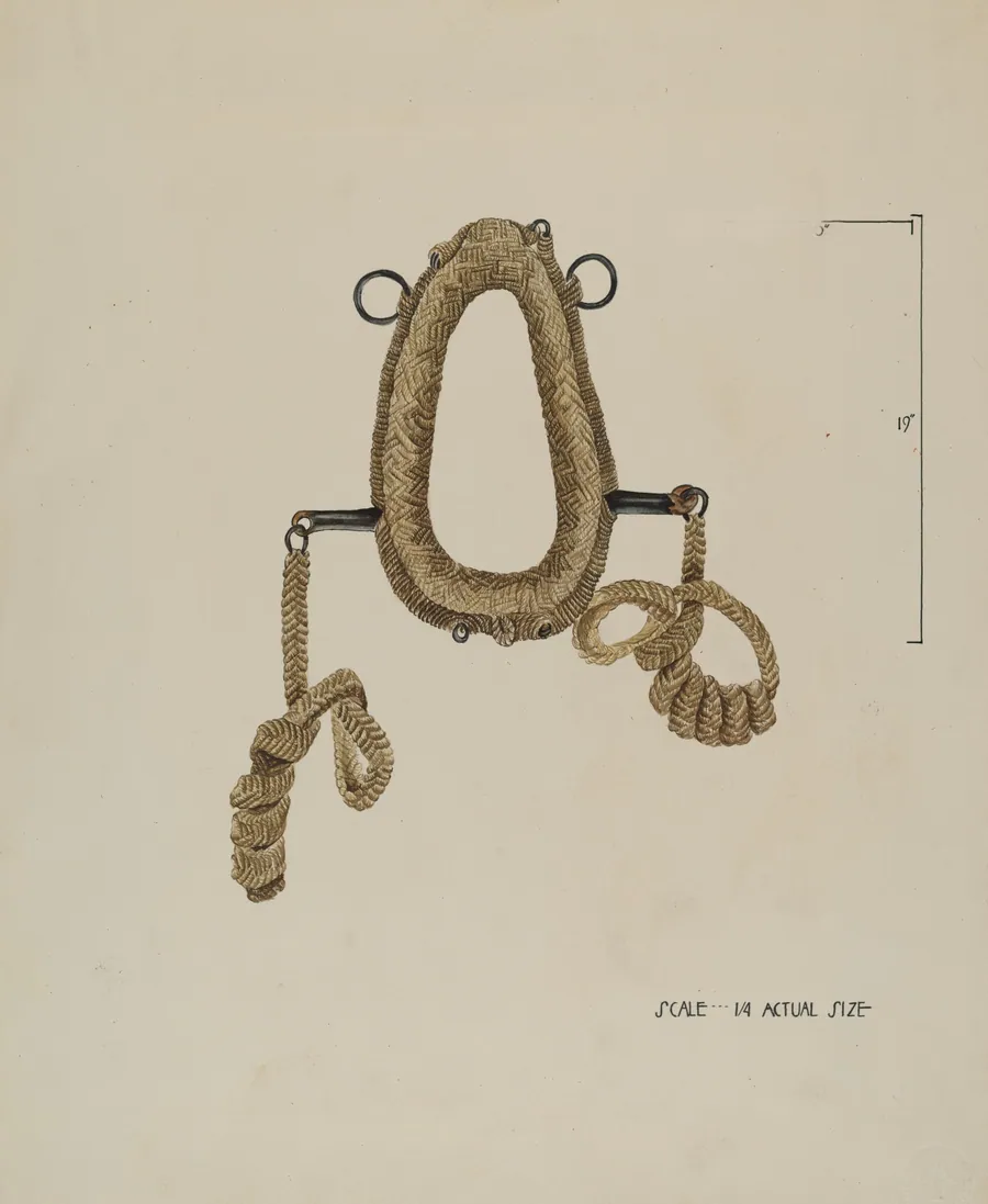 Collar For Burro by Roberta Elvis