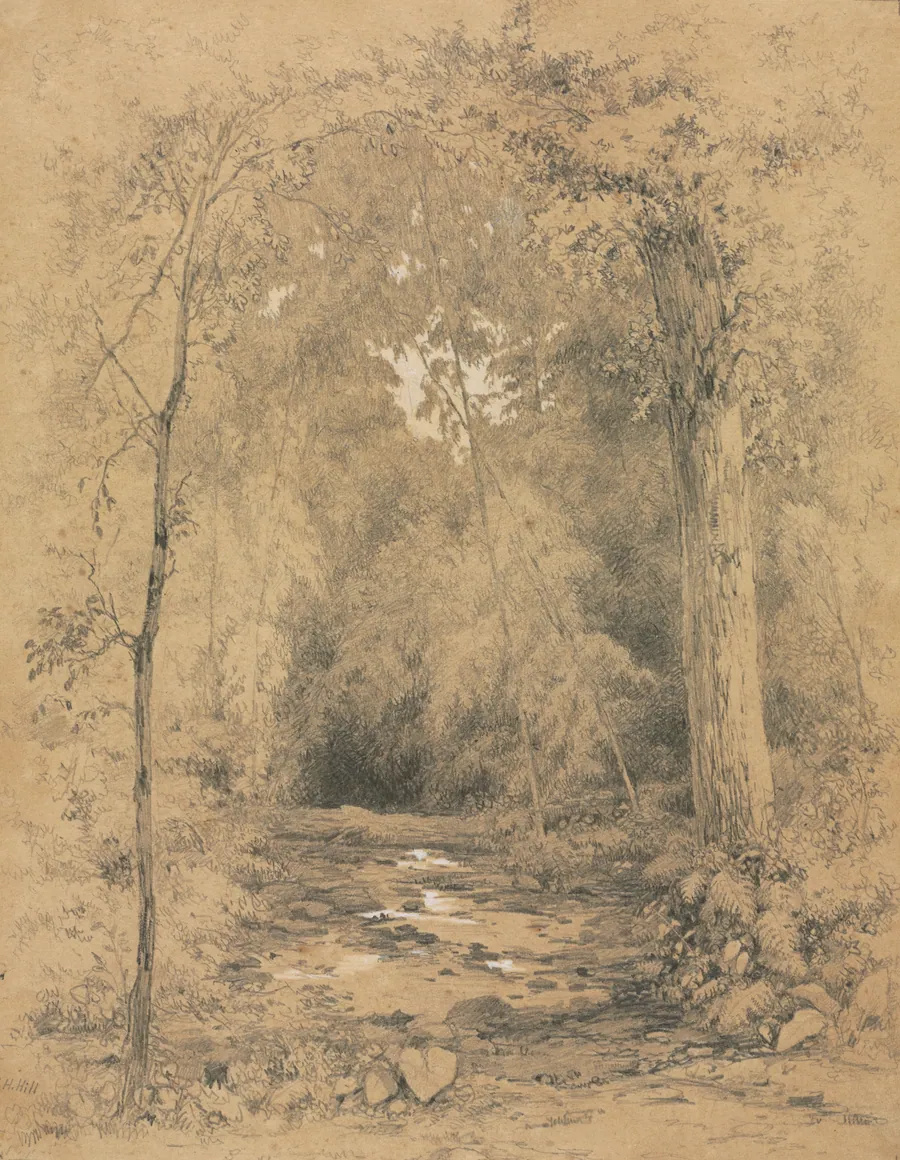 Forest Interior by John Henry Hill