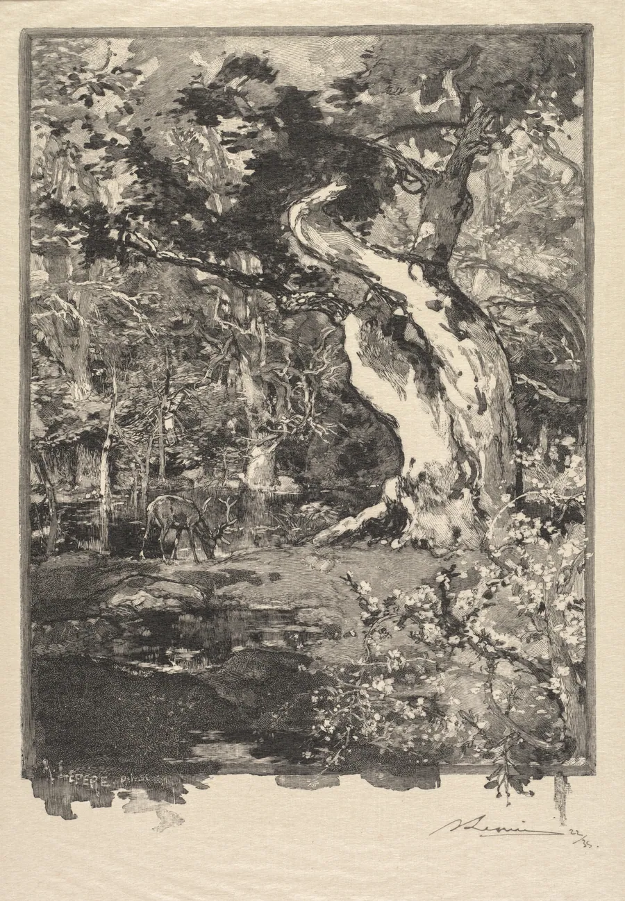 Fontainebleau Forest: Le Clovis, Plateau de Bellecroix (La Forêt de Fontainebleau: Plateau de Belle-Çroix, le Clovis) by Auguste Louis Lepère