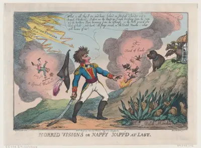 Horrid Visions of Nappy Napp'd at Last