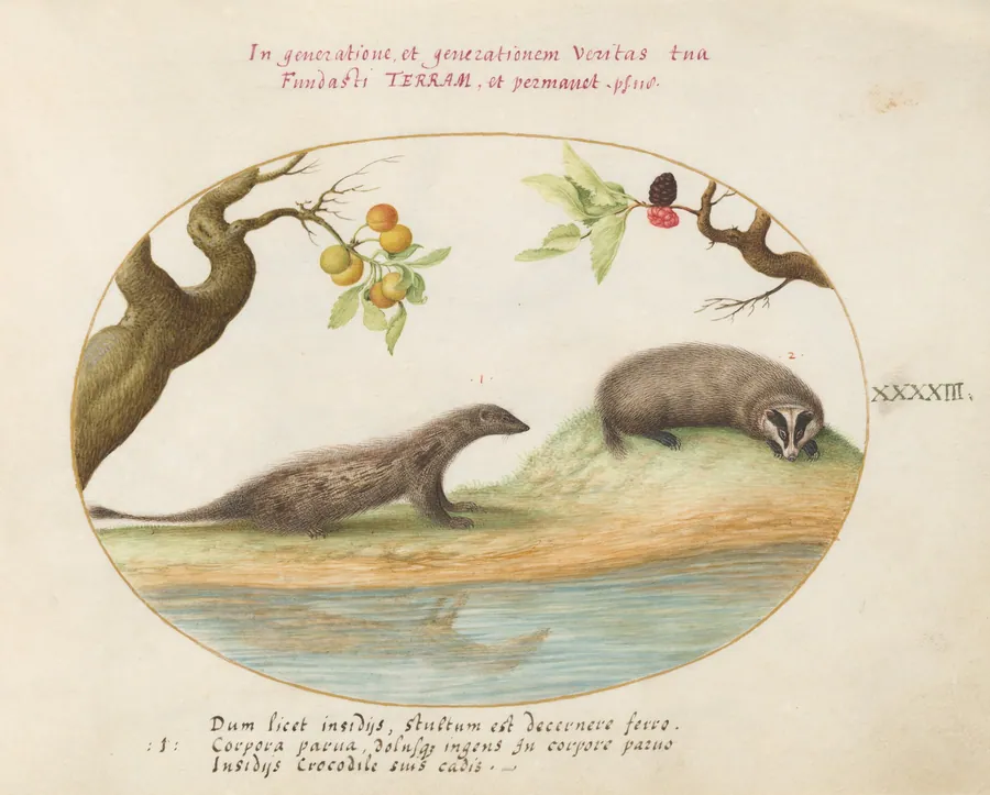 Plate 43: Mongoose and Badger with Fruit Trees by Joris Hoefnagel