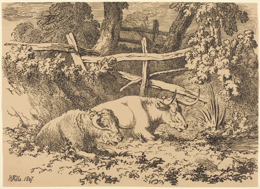 Cattle Resting by Robert Hills