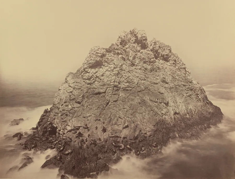 Sugar Loaf Island, Farallons by Carleton E. Watkins