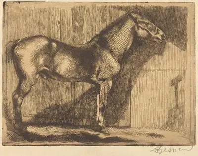 Pony (Le poney)