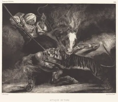 Attaque du tigre
