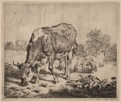 Spotted Bull and Three Sheep