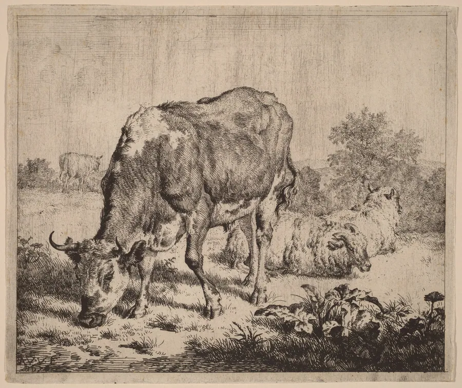 Spotted Bull and Three Sheep by Adriaen van de Velde