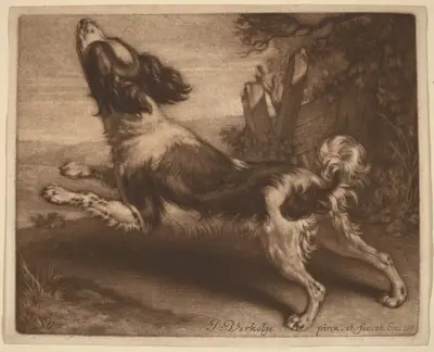 A Spaniel Jumping