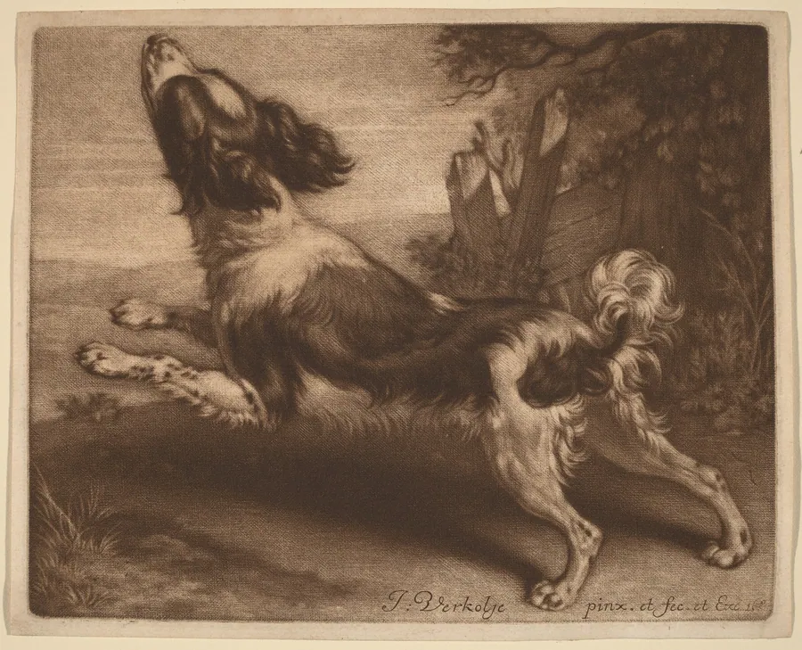 A Spaniel Jumping by Jan Verkolje I