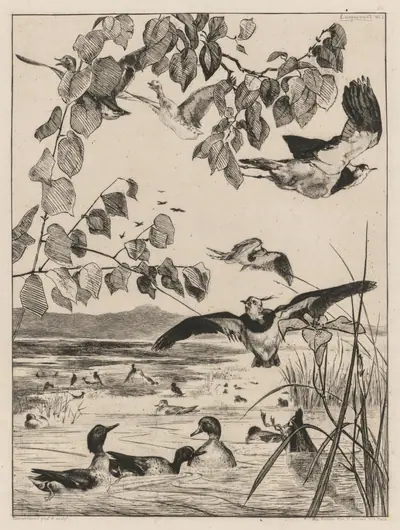 Lapwings and Teals