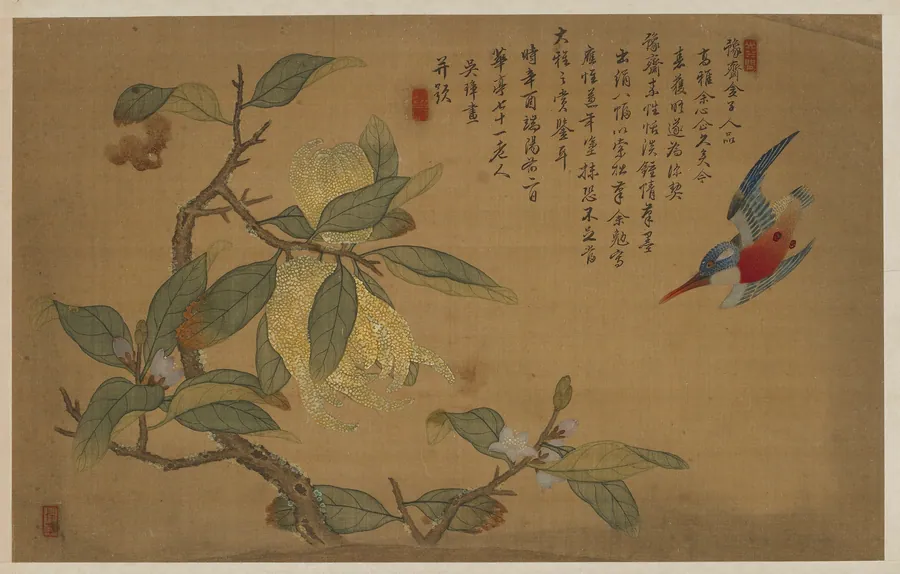 Bird, fruit, and flowers by Wu Zhang (1671-after 1741)
