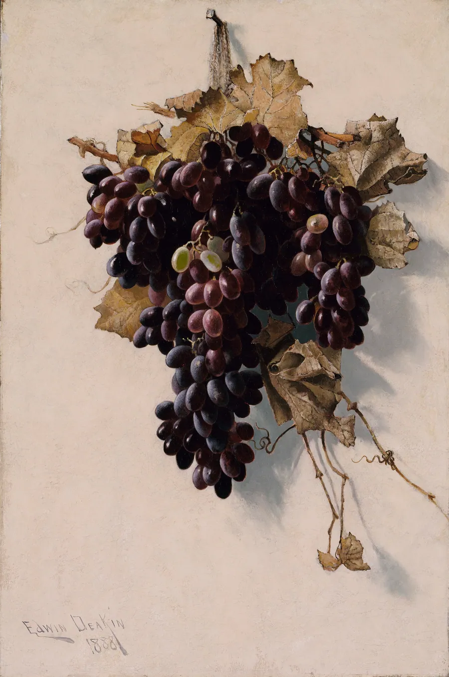 Still Life with Grapes by Edwin Deakin, born Sheffield, England 1838-died Berkeley, CA 1923