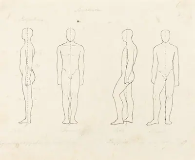 Extent of Motion, Front and Side View Equipoised, Supported on One Leg
