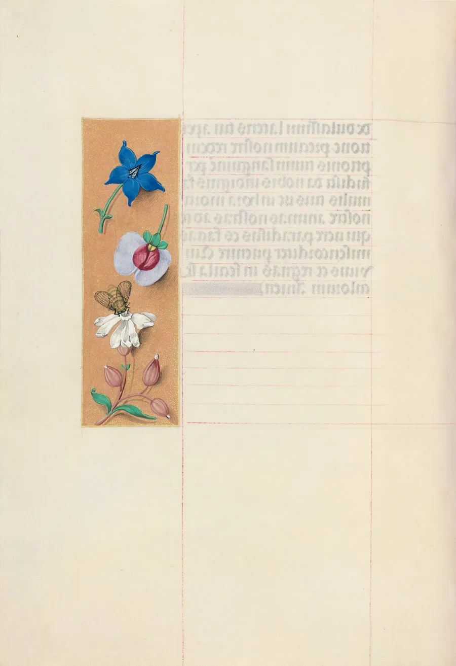 Hours of Queen Isabella the Catholic, Queen of Spain:  Fol. 71v by Master of the First Prayerbook of Maximillian