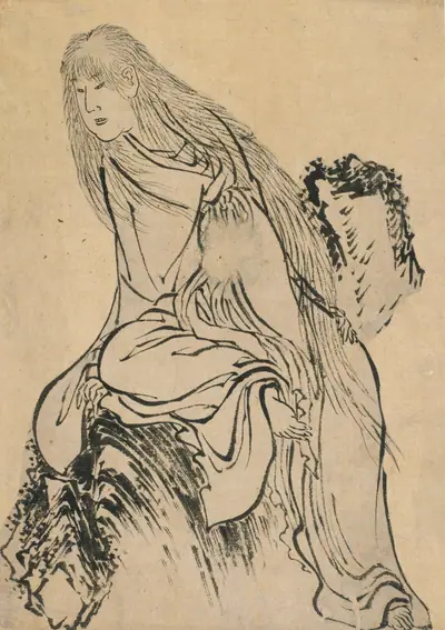 Hermit resting on a rock