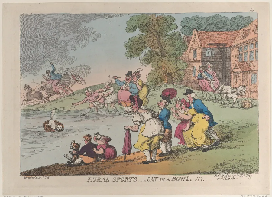 Rural Sports: Cat in a Bowl by Thomas Tegg