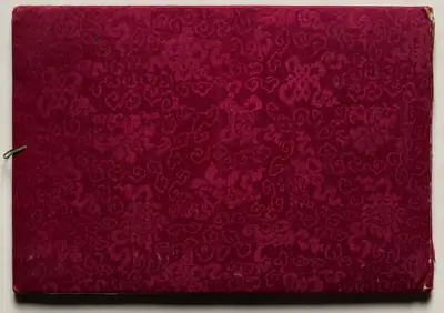 Illustrated Book of Flowers and Butterflies