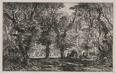 View from a Forest Stream Into a Clearing