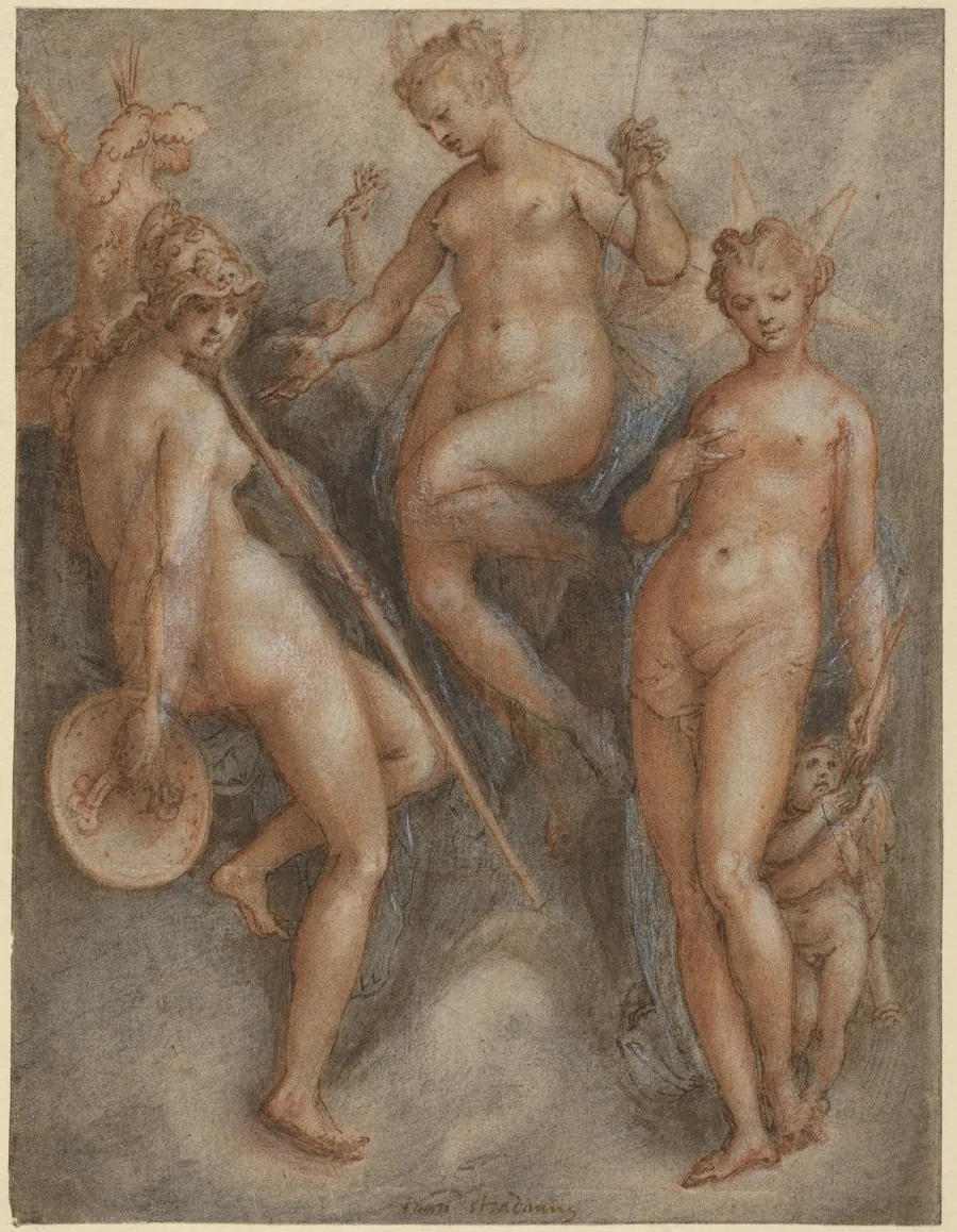Three Goddesses: Minerva, Juno and Venus by Jan van der Straet
