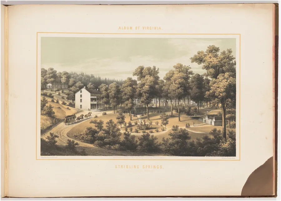 Stribling Springs by Edward Beyer
