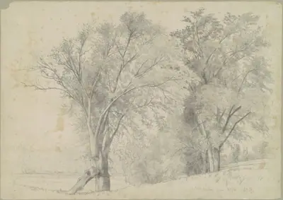 Elms, Hudson