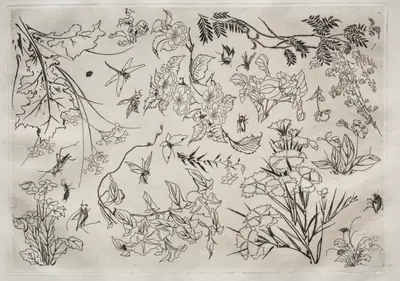 Dinner Service (Rousseau service): Flowers (no. 22)