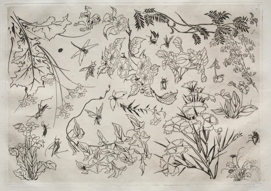 Dinner Service (Rousseau service): Flowers (no. 22) by Félix Bracquemond