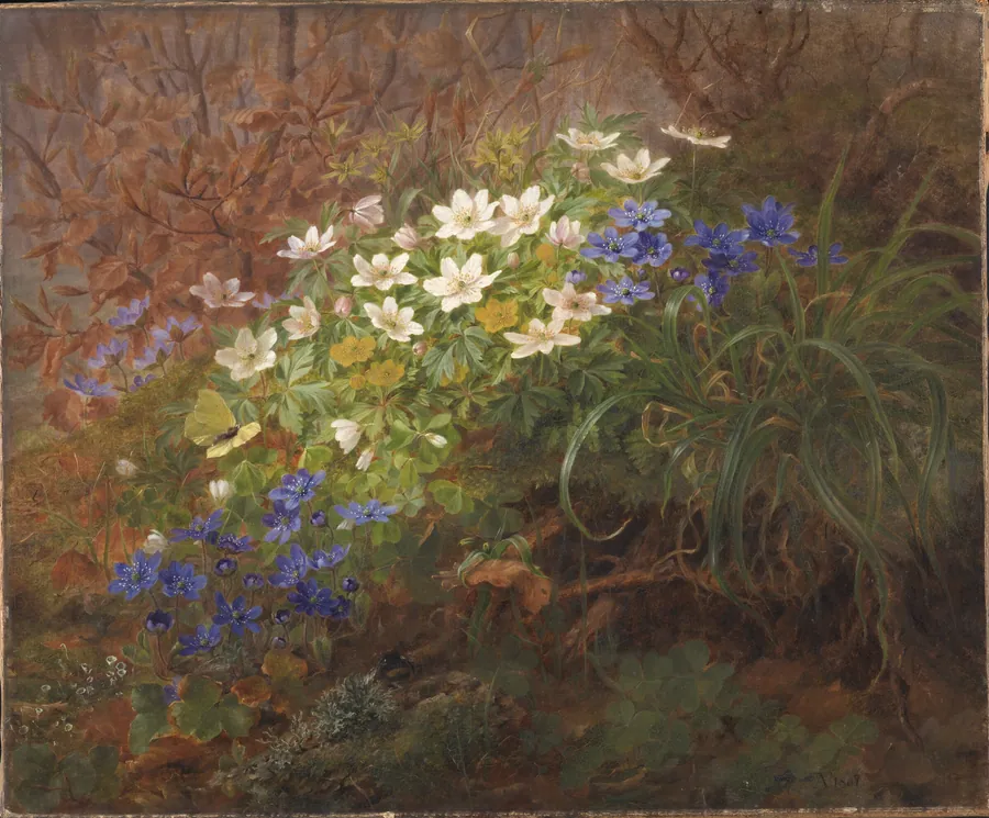 Anemoner by Anthonie Christensen