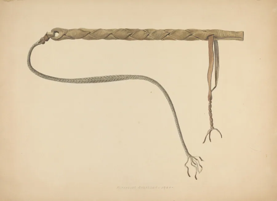 Rawhide Herder's Whip by Alexander Anderson