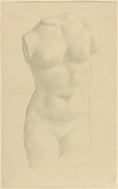 Torso