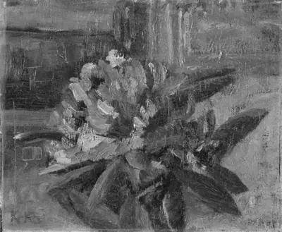 Rhododendron