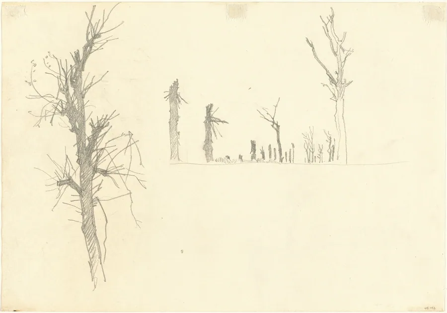 Devastated Trees [verso] by John Singer Sargent