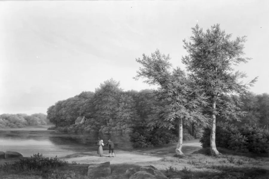 Skovparti ved Hellebæk by Adolf Carl