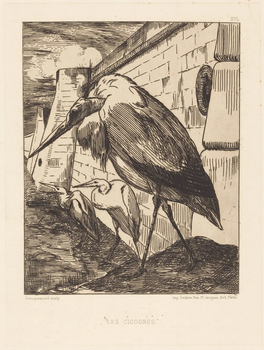 Les Cigognes (The Storks) by Félix Bracquemond