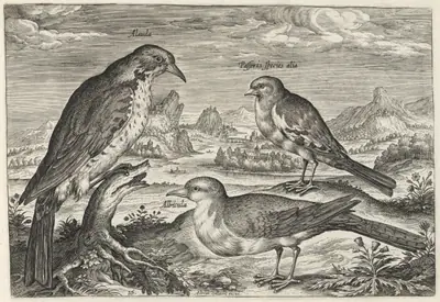 Lark and Two Smaller Birds